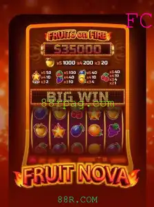 Descubra o Fascinante Mundo de FruitNova: Regras e Dicas