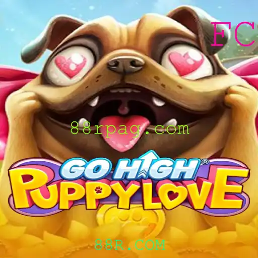 Conheça o Jogo GoHighPuppyLove e Descubra Suas Regras